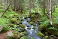 Fast mountain river in forest. Ziarska valley. Western Tatras. Slovakia